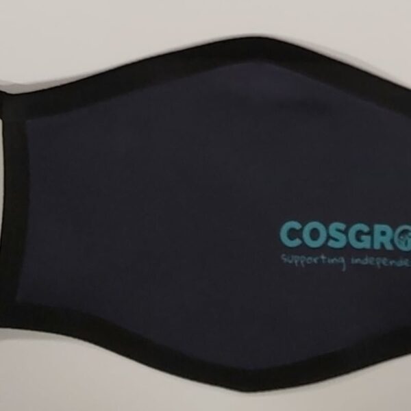 Cosgrove Face Mask - Cyan